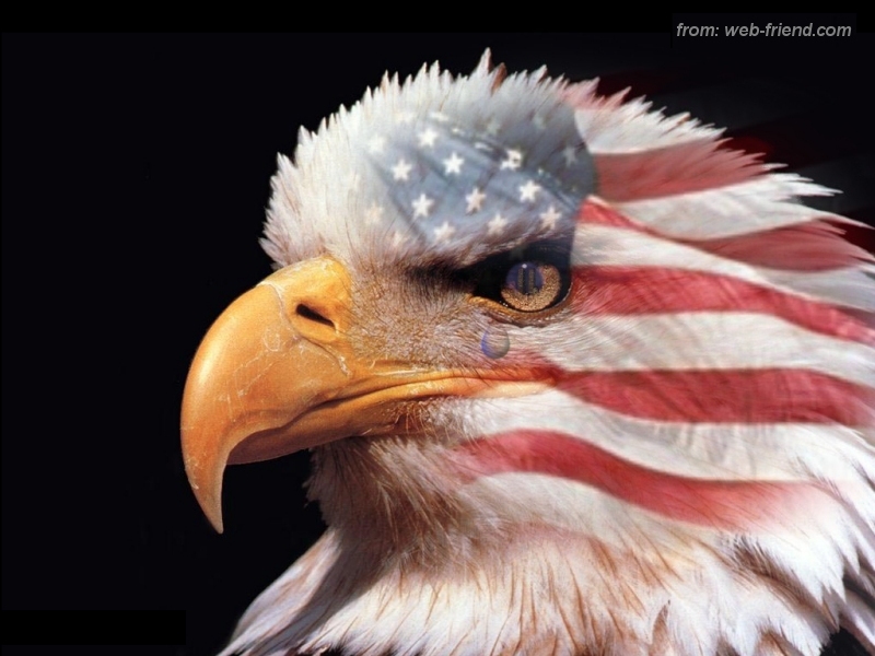 eagle and american flag tattoos. american flag eagle pictures.